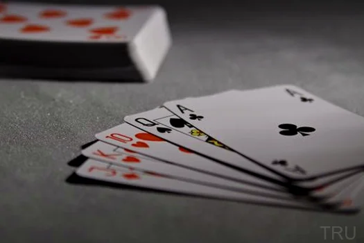 Live Casino 3