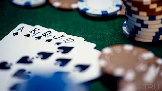 Live Casino 4